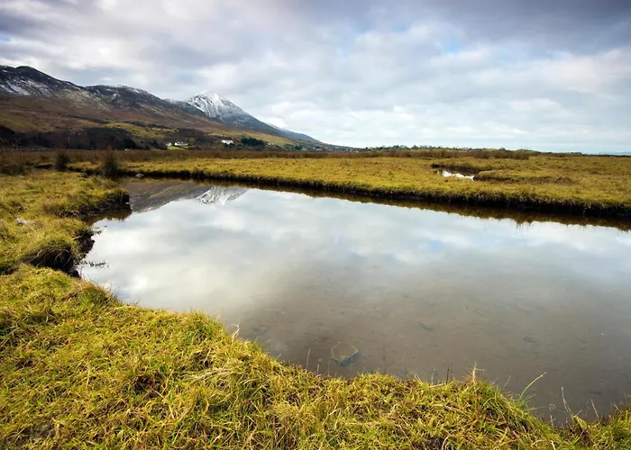 The Hillside Westport