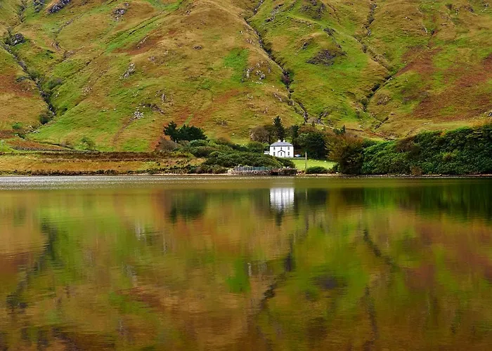 The Hillside