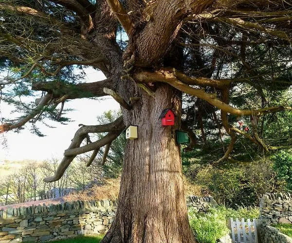 The Hillside Holiday home *